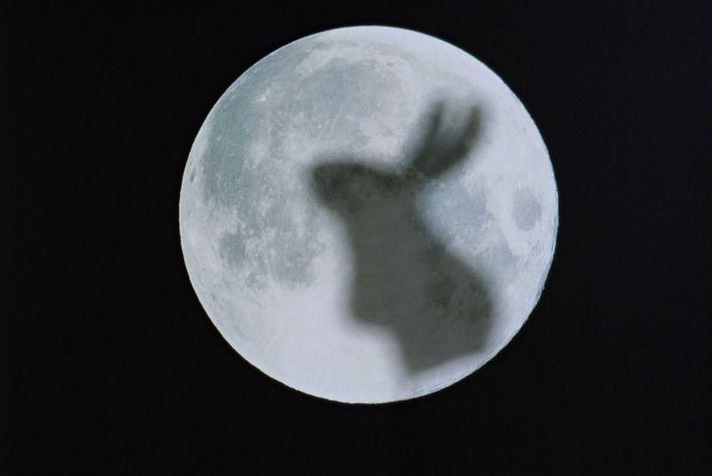 月亮很想说一句话