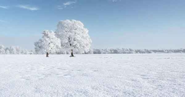 今天雪花儿们与我寒暄|李崇笙